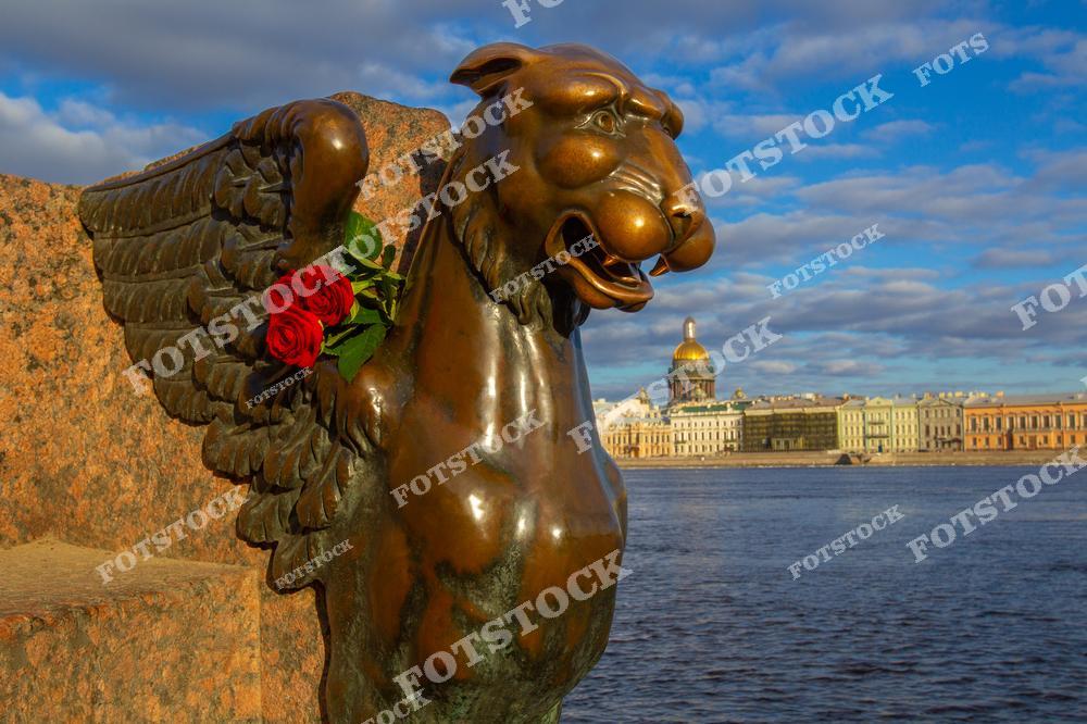 На переднем плане изображен грифон — один из бронзовых мифических стражей, украшающих набережные Санкт-Петербурга.  На заднем плане, через Неву, виден величественный купол Исаакиевского собора и старинные здания, символизирующие историческое богатство города. Ясное небо и солнечный свет делают этот образ особенно выразительным.